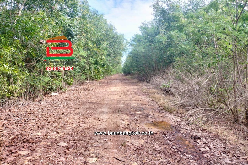 LINE_ALBUM_N.11423ที่ดิน44ไร่หนองเสืลลอคลอง11ปทุมธานี_251215_18