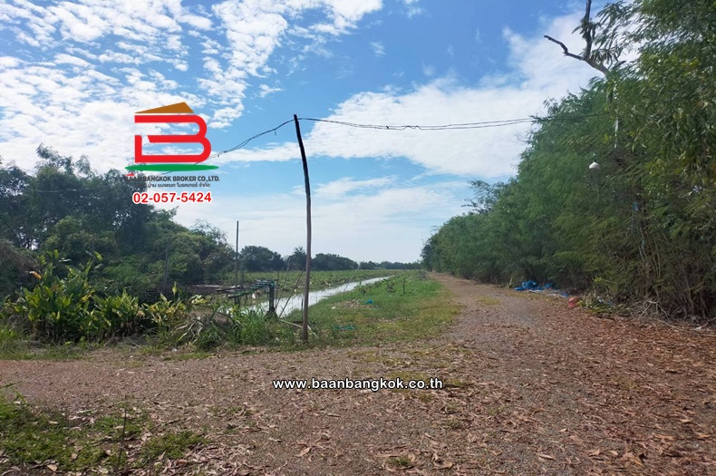 LINE_ALBUM_N.11423ที่ดิน44ไร่หนองเสืลลอคลอง11ปทุมธานี_251215_19