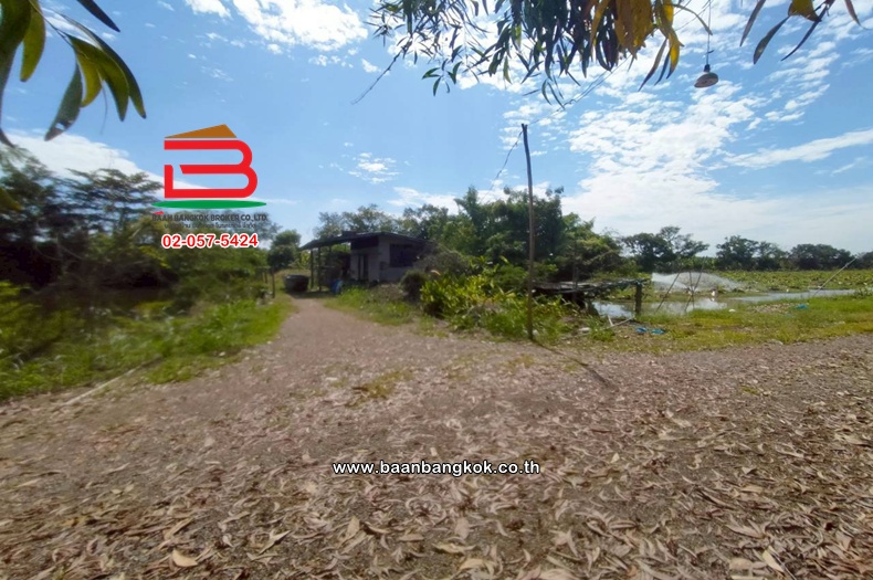 LINE_ALBUM_N.11423ที่ดิน44ไร่หนองเสืลลอคลอง11ปทุมธานี_251215_22