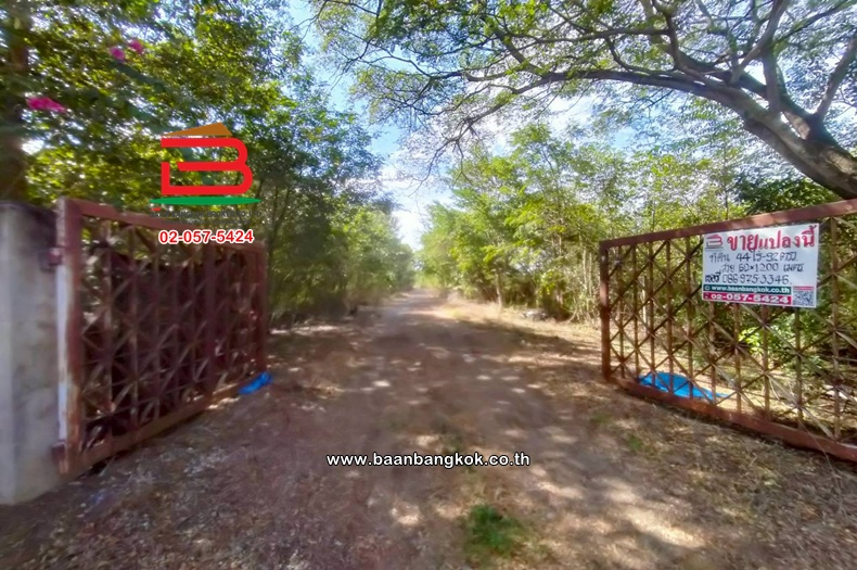 ที่ดินเปล่า เนื้อที่ 44-0-96 ไร่ หนองเสือ คลอง 11, ใกล้วัดป่าคลอง11 ถนนรังสิต-นครนายก ตำบลบึงกาสาม อำเภอหนองเสือ ปทุมธานี    