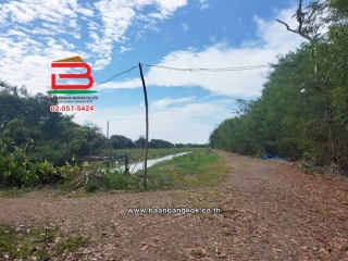 LINE_ALBUM_N.11423ที่ดิน44ไร่หนองเสืลลอคลอง11ปทุมธานี_251215_19