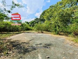 LINE_ALBUM_N.11311ที่ดิน7-2-67 ไร่ ถนนกำแพงเพชร 6_251224_4