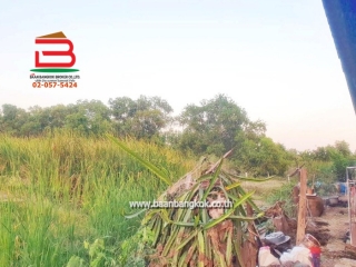 LINE_ALBUM__11360 ที่ดินเปล่า100วาซอยเลียบวารี39_260112_9