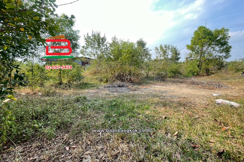 LINE_ALBUM_No.011622 ที่ดินเปล่า ซ.อยู่รวยแลนด์ หนองเสือ(ส้ม)_260119_9