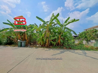 11279, ที่ดินเปล่า เนื้อที่ 210 ตร.ว. หมู่บ้านเปรมวดี (พุทธมณฑลสาย 3 ซอย 19) ถนนพุทธมณฑลสาย 3 แขวงบางระมาด เขตตลิ่งชัน