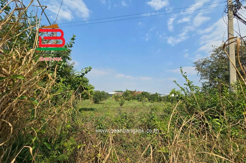 ที่ดิน นาเกลือ-พัทยา (ใกล้เซ็นทรัลพัทยา) เนื้อที่ 4 ไร่ 3 งาน 73 ตรว. ตำบลนาเกลือ อำเภอบางละมุง จังหวัดพัทยา