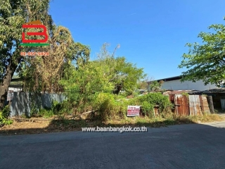 LINE_ALBUM_No.11627ที่ดิน1ไร่44ตรว.อ่อนนุช66_260127_13