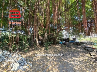 LINE_ALBUM_No.11627ที่ดิน1ไร่44ตรว.อ่อนนุช66_260127_9