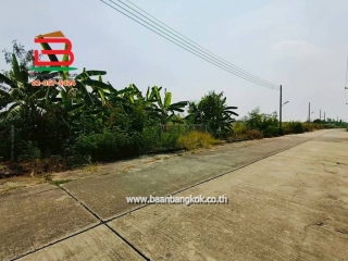 LINE_ALBUM_N.011607ที่ดินเปล่านุ้ย_260128_12