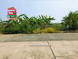 LINE_ALBUM_N.011607ที่ดินเปล่านุ้ย_260128_13