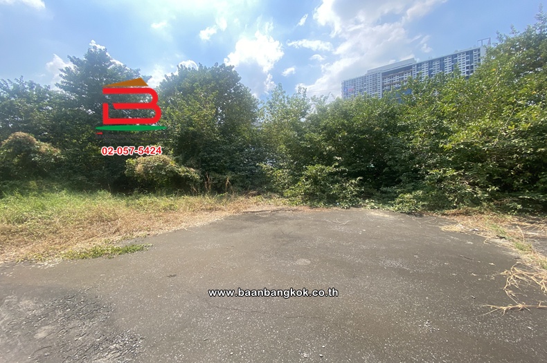 S__97509395_0
