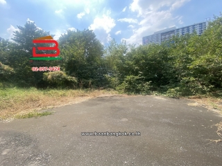 S__97509395_0