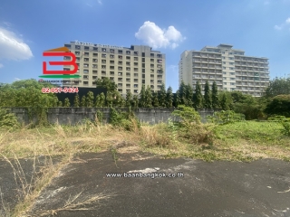 S__97509398_0