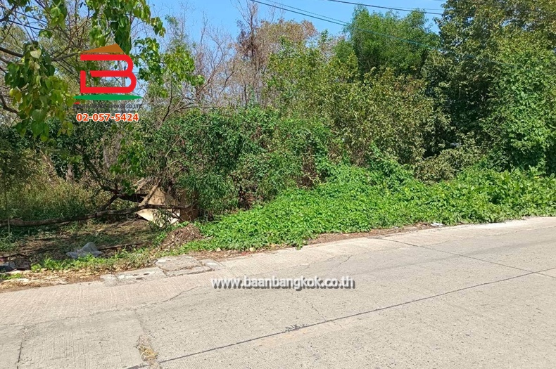 LINE_ALBUM_No.11581ที่ดินไอยรา15_260223_3