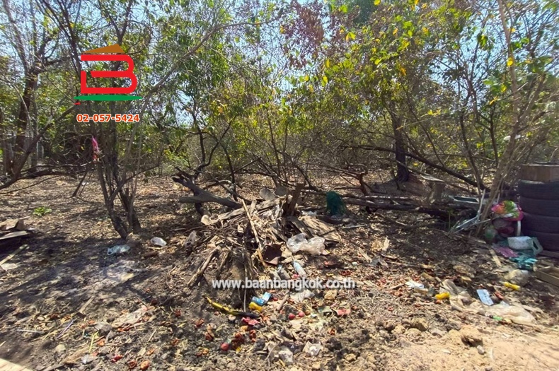 LINE_ALBUM_No.11581ที่ดินไอยรา15_260223_6