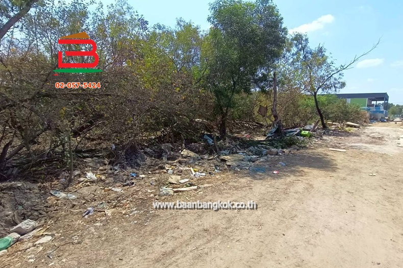 LINE_ALBUM_No.11581ที่ดินไอยรา15_260223_7