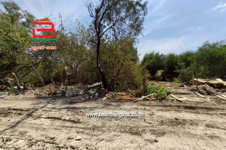 LINE_ALBUM_No.11581ที่ดินไอยรา15_260223_9