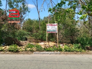 LINE_ALBUM_No.11581ที่ดินไอยรา15_260223_1