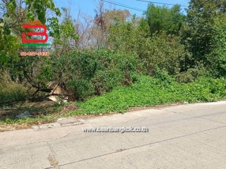 LINE_ALBUM_No.11581ที่ดินไอยรา15_260223_3