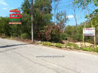 LINE_ALBUM_No.11581ที่ดินไอยรา15_260223_4