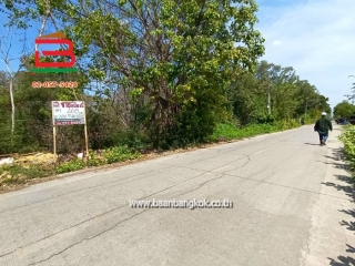 LINE_ALBUM_No.11581ที่ดินไอยรา15_260223_5