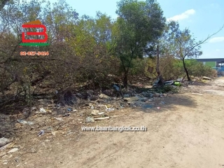 LINE_ALBUM_No.11581ที่ดินไอยรา15_260223_7