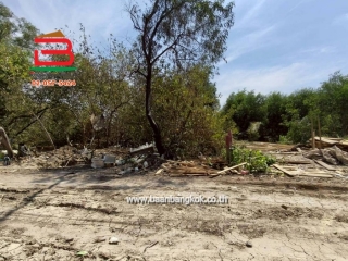 LINE_ALBUM_No.11581ที่ดินไอยรา15_260223_9