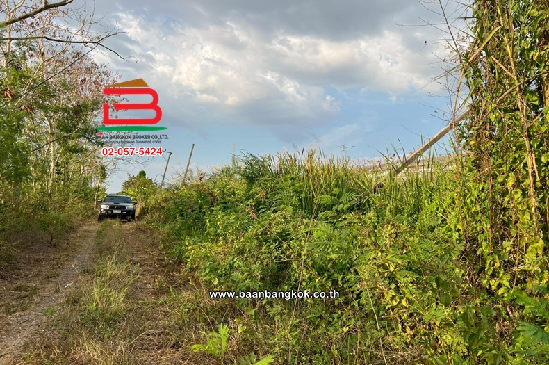 LINE_ALBUM_N11570 LD.200 ตรวจ.คลอง11_260307_7