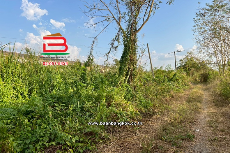 LINE_ALBUM_N11570 LD.200 ตรวจ.คลอง11_260307_8