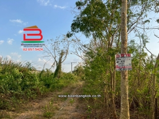 LINE_ALBUM_N11570 LD.200 ตรวจ.คลอง11_260307_6