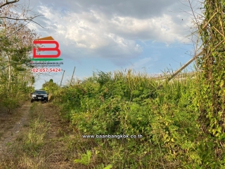 LINE_ALBUM_N11570 LD.200 ตรวจ.คลอง11_260307_7