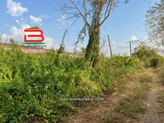 LINE_ALBUM_N11570 LD.200 ตรวจ.คลอง11_260307_8