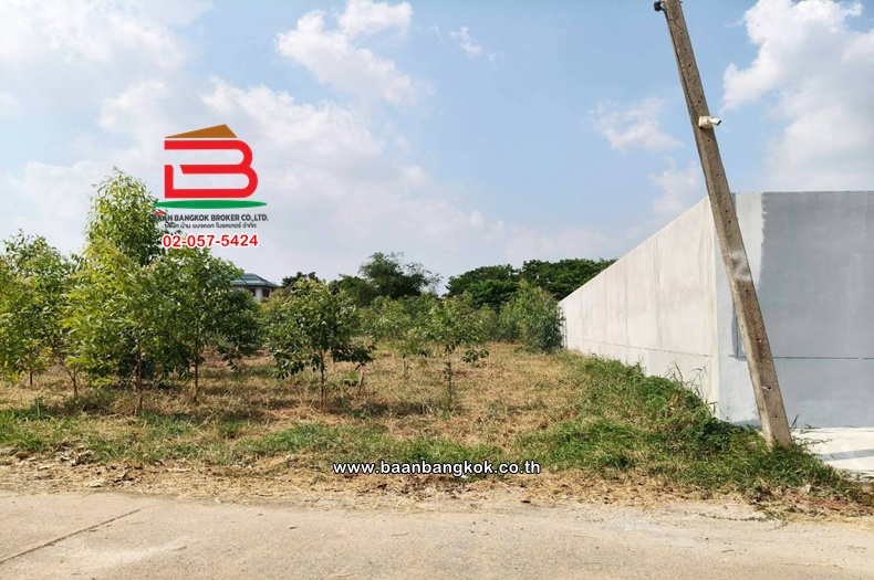 LINE_ALBUM_L.11735ที่ดิน5ไร่ค.3Lek_260407_30