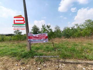 LINE_ALBUM_L.11735ที่ดิน5ไร่ค.3Lek_260407_24