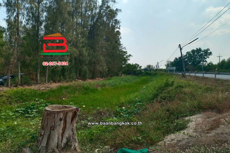 LINE_ALBUM_No.11814 ที่ดินเปล่าอ.องครักษ์_260420_10