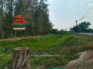 LINE_ALBUM_No.11814 ที่ดินเปล่าอ.องครักษ์_260420_10