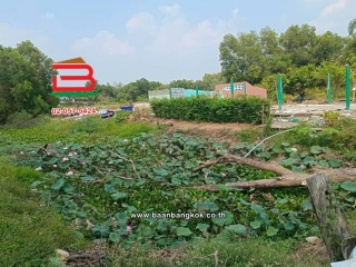 LINE_ALBUM_No.11814 ที่ดินเปล่าอ.องครักษ์_260420_12