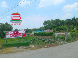 LINE_ALBUM_No.11814 ที่ดินเปล่าอ.องครักษ์_260420_3