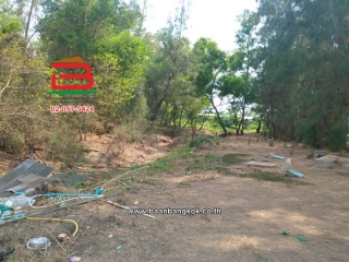 LINE_ALBUM_No.11814 ที่ดินเปล่าอ.องครักษ์_260420_5