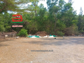 LINE_ALBUM_No.11814 ที่ดินเปล่าอ.องครักษ์_260420_7