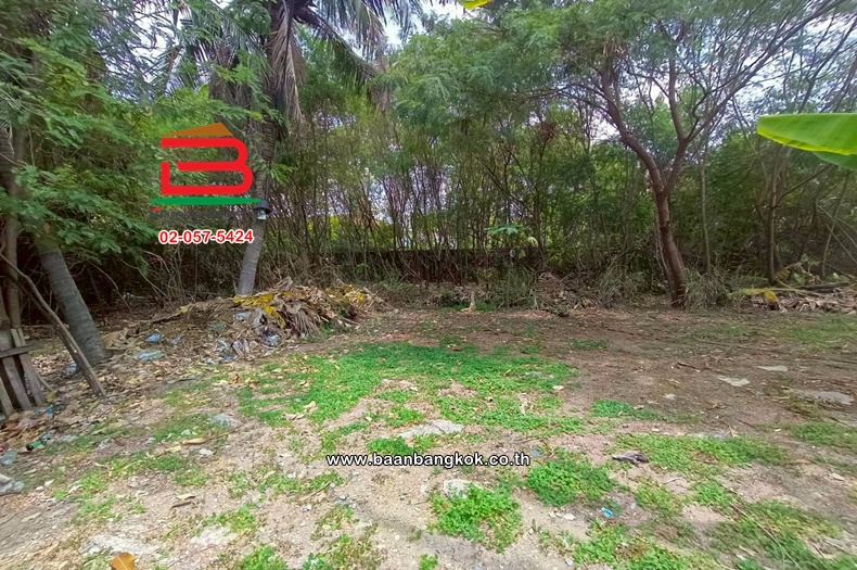 LINE_ALBUM_No. 012040ที่ดินถมแล้วพร้อมสิ่งปลูกสร้าง 200 ตาราง_260427_11