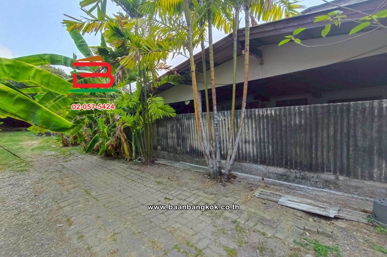 LINE_ALBUM_No. 012040ที่ดินถมแล้วพร้อมสิ่งปลูกสร้าง 200 ตาราง_260427_4