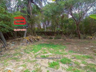 LINE_ALBUM_No. 012040ที่ดินถมแล้วพร้อมสิ่งปลูกสร้าง 200 ตาราง_260427_11