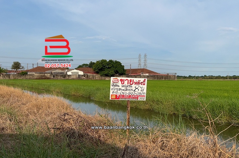 ที่ดินเปล่า เนื้อที่ 7 ไร่ ซอยติดหมู่บ้านเลอมาน ใกล้สนง.เทศบาลตำบลธัญบุรี ถนนเลียบคลอง 7 ตำบลลำลูกกา อำเภอลำลูกกา ปทุมธานี 