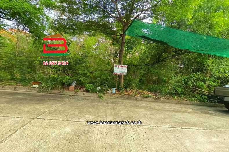 ที่ดินเปล่า เนื้อที่ 95 ตร.ว. หมู่บ้านสีวลี (รังสิต-นครนายก 50) ซอยแยกบ้านสีวลีแยก 69 ถนนรังสิต-นครนายก ตำบลประชาธิปัตย์ อำเภอธัญบุรี ปทุมธานี     