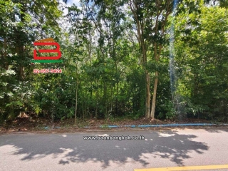 12374, ที่ดินเปล่า เนื้อที่ 17-0-53 ไร่ วังจันทร์-ระยอง ใกล้วัดเขาตลาดสิงหเสนี ทางหลวงแผ่นดินหมายเลข 344 (บ้านบึง-แกลง) ตำบลพลงตาเอี่ยม อำเภอวังจันทร์ ระยอง    