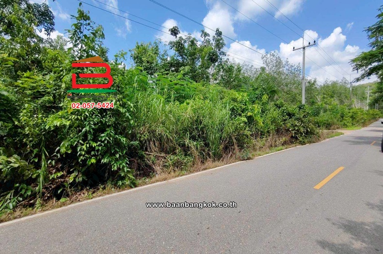 LINE_ALBUM_12423LD 4-0-67 ไร่ อ.วังจันทร์ จ.ระยอง_260722_8