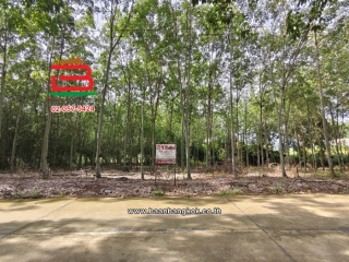 12512, ที่ดินต้นยางพารา (พร้อมกรีด) เนื้อที่ 4-0-5 ไร่ วังจันทร์-ระยอง ใกล้เทศบาลตำบลชุมแสง ทางหลวงแผ่นดินหมายเลข 344 (บ้านบึง-แกลง) ตำบลพลงตาเอี่ยม อำเภอวังจันทร์ ระยอง