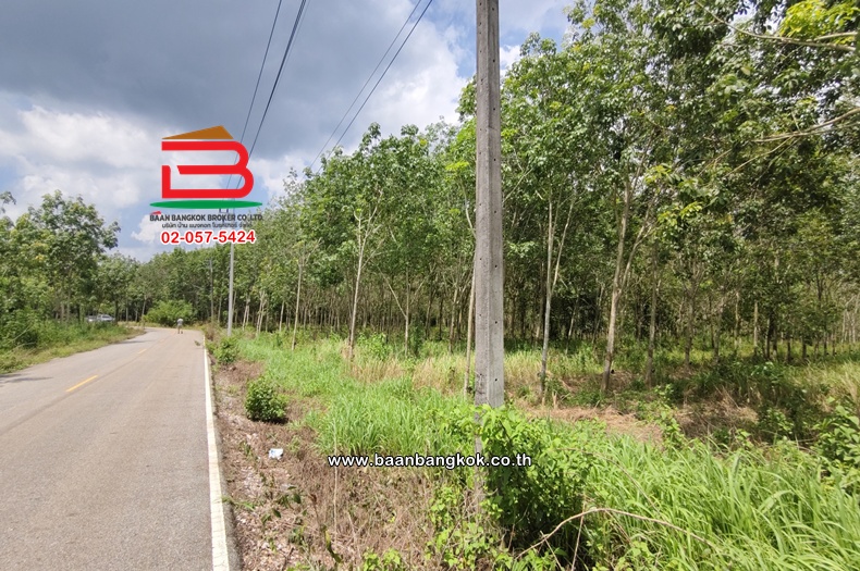 LINE_ALBUM_12513 LD 15-1-10 ไร่ อ.วังจันทร์ จ.ระยอง โอ๋_260723_3