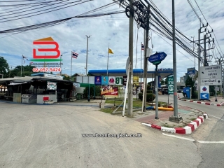 LINE_ALBUM_12141_ที่ดิน 74 ตร.ว. ถมแล้ว_ราชพฤกษ์ 23_260817_11